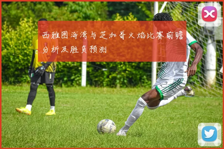 西雅图海湾与芝加哥火焰比赛前瞻分析及胜负预测