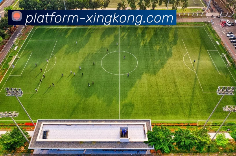 App Interface Preview