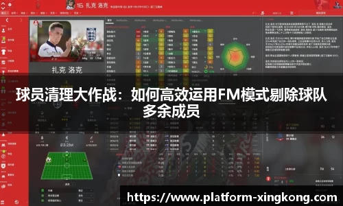 星空体育app